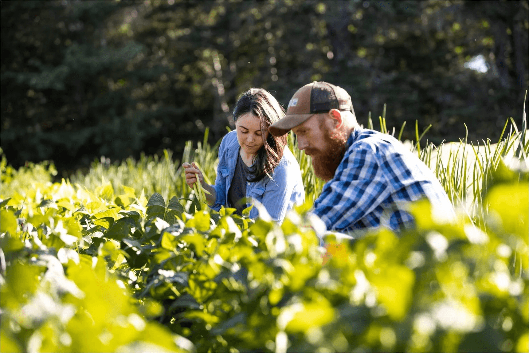 Fresh produce at Dieppe Farmers Market